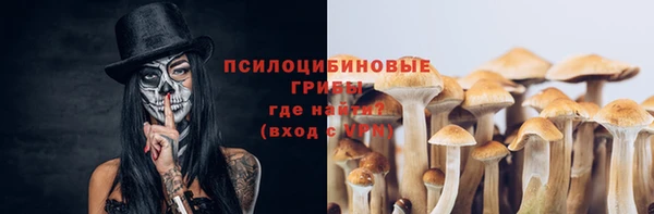 гидропоника Горнозаводск