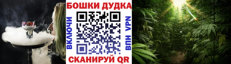 Купить где  Макушино  Каннабис сатива 